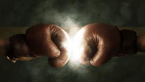 Edelman's Steve Schmidt challenges Roger Stone to charity boxing match