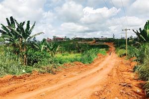 Mercury provides media, lobbying support to Cameroon