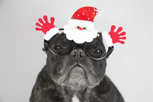 G&S wins PRWeek agency holiday card contest