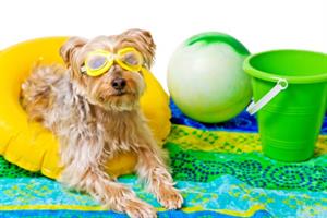 7 things to take into the holiday weekend