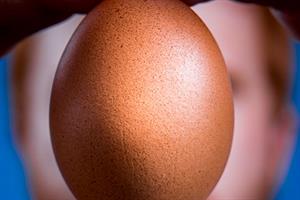 I made this: Chris Godfrey and Eugene the Instagram egg