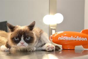 Brands and influencers pay tribute to Grumpy Cat