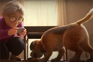 Hill's: campaign from 2020