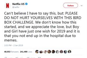 Should Netflix have turned a blind eye to the Bird Box Challenge?