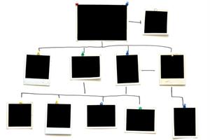 Poll: Is horizontality dead?