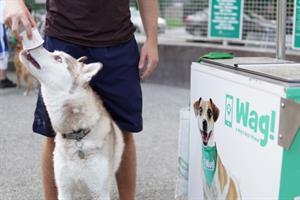 Dog-walking app Wag! scoops up social engagement, media coverage with pet-friendly ice cream tour