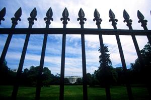 From the campaign trail and the White House to the private sector