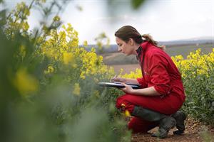 Woman with notepad in an open field. Photograph: Peter Cade/Getty Images