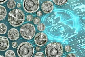 How ecosystem collapse became a national security issue. (GettyImages)