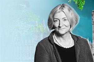 Rosie Boycott is a life peer whose career has spanned publishing, journalism and most recently environmental campaigning. Image: UK Parliament and Getty Images