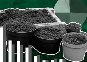 pflanztpfe fr zimmerpflanzen Harmony Pots/Tpfe