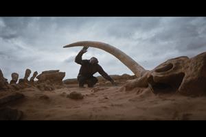 A chimp in a desert landscape looking at a giant tusk