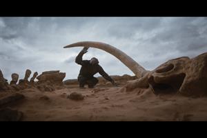 A chimp in a desert landscape looking at a giant tusk