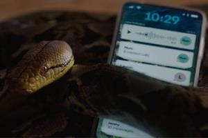 Home Office “Enough” by FCB London