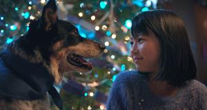A dog and girl sit under a holiday tree