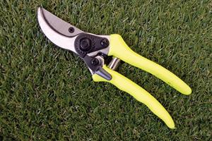 Pruners reviewed: what's the latest in pruning equipment?