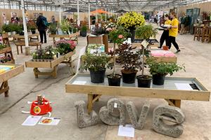 B&Q use recycled fibre trays for plants to replace plastic
