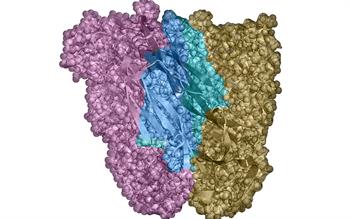 New immunomodulator for systemic treatment of psoriasis