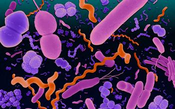Use of quinolone antibiotics should be restricted, says EMA