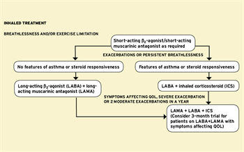 MIMS summary of NICE COPD guidance updated