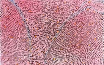 Low-dose oestrogen pessary for vaginal menopause symptoms
