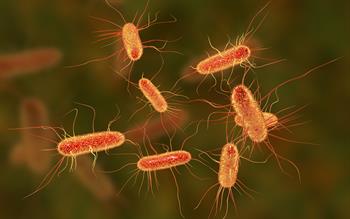 Researchers query safety of delaying antibiotics for UTI in elderly