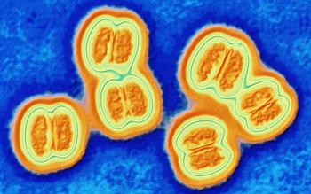 New vaccination programmes for meningitis B and ACWY