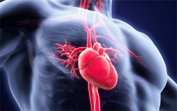 Ticagrelor approved for long-term treatment following MI