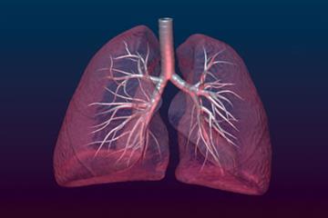 RCGP Curriculum - 15.8 Respiratory Problems