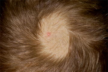 Clinical images: Paediatric problems