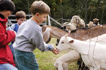 Public Health - Recognising zoonoses
