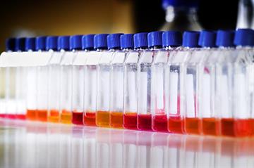 How could an adjuvanted vaccine help GPs tackle flu?
