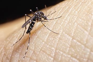 Zika cases in UK travellers triple in a month as 100 new cases confirmed