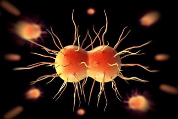 GPs on alert as experts declare outbreak of antibiotic-resistant gonorrhoea