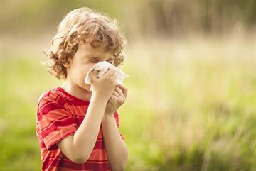 Hayfever: clinical review