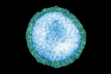 Raising the humidity of public spaces could prevent flu virus particles (pictured) from spreading (Photo: SPL)