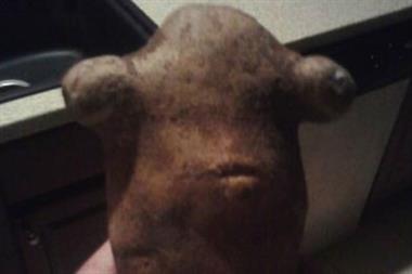 Admiral Ackbar from Star Wars or a comedy potato? (picture: Ash Warner)