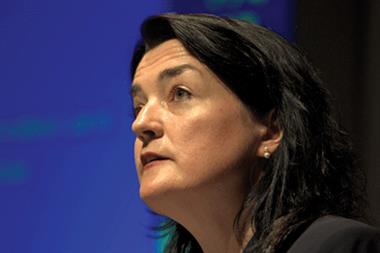 Dr Helena McKeown: report shows reform plans are 'tremendously risky' (Photograph: JH Lancy)