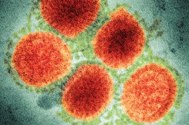 H1N1 virus: Deaths rose 30% in England in the year after the pandemic, but fell in other countries (Photograph: SPL)