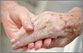 Photograph: iStockphoto/Dieter Hawlan