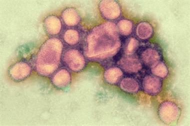Swine flu: jab may increase risk