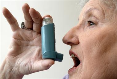 Asthma: GPs are urged to give more patients allergy tests (Photo: Jason Heath Lancy)