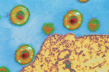 The varicella zoster virus (pictured) can cause long-term health problems for elderly people