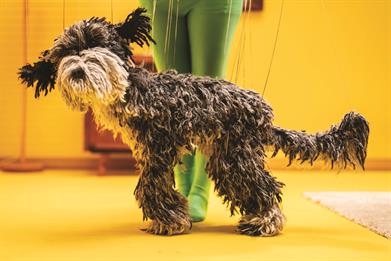 How creatives freed their minds during lockdown