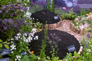 Etherlive provided IT services at this year's RHS Chelsea Flower Show