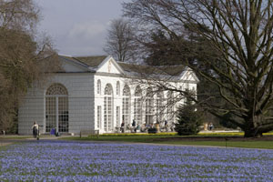 Kew Gardens is looking for a security supplier for its events