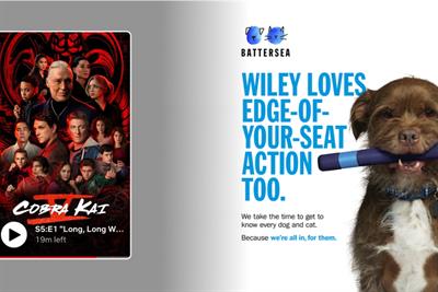 Battersea unveils Netflix pause ads matching animals with genre