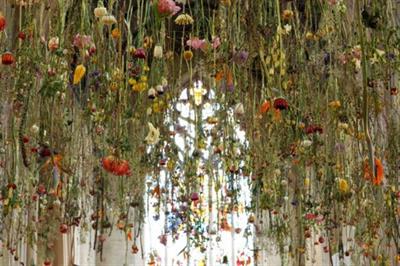 1,200 blooms have been suspended at St Christopher's Place this week.  