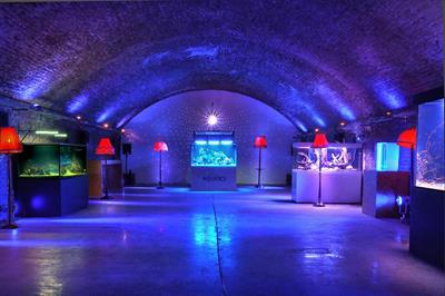 Located on Stean Street this aquarium is a unique venue to host an event 