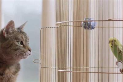 Freeview: Cat & Budgie TV campaign
